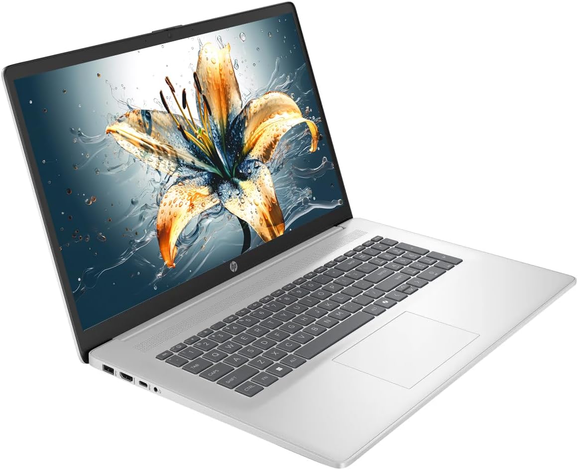HP 17 Laptop  17.3