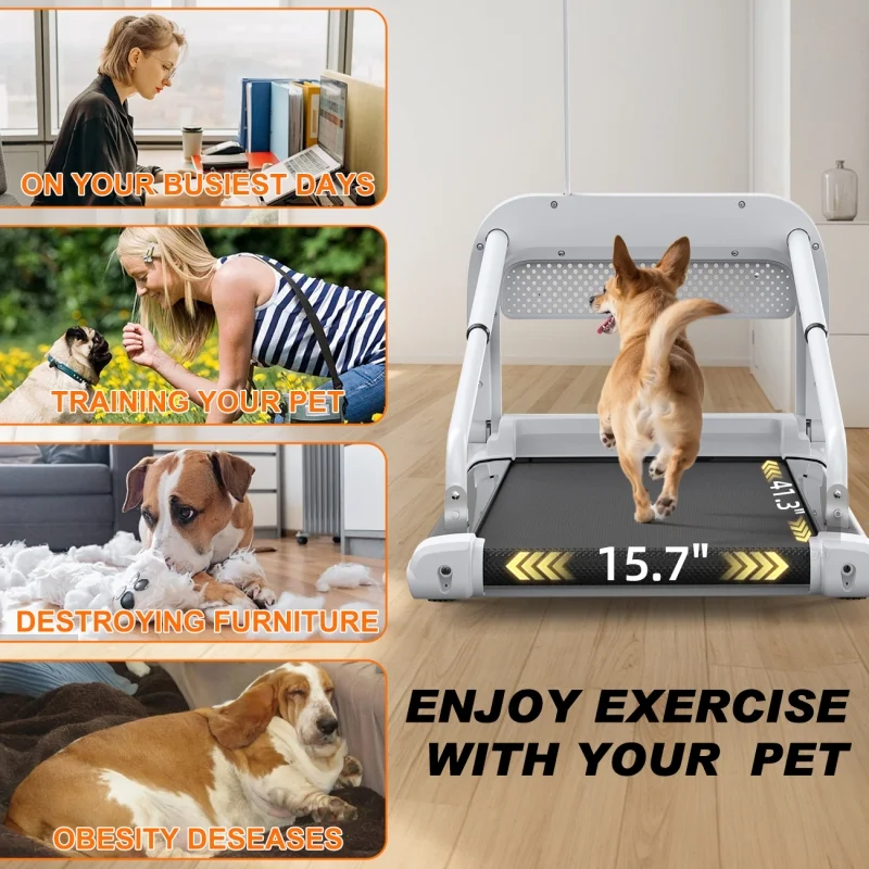 2025 New Quiet Smart Pet Treadmill, Adjustable Speed, Perfect for Small/Medium Dogs - Image 6
