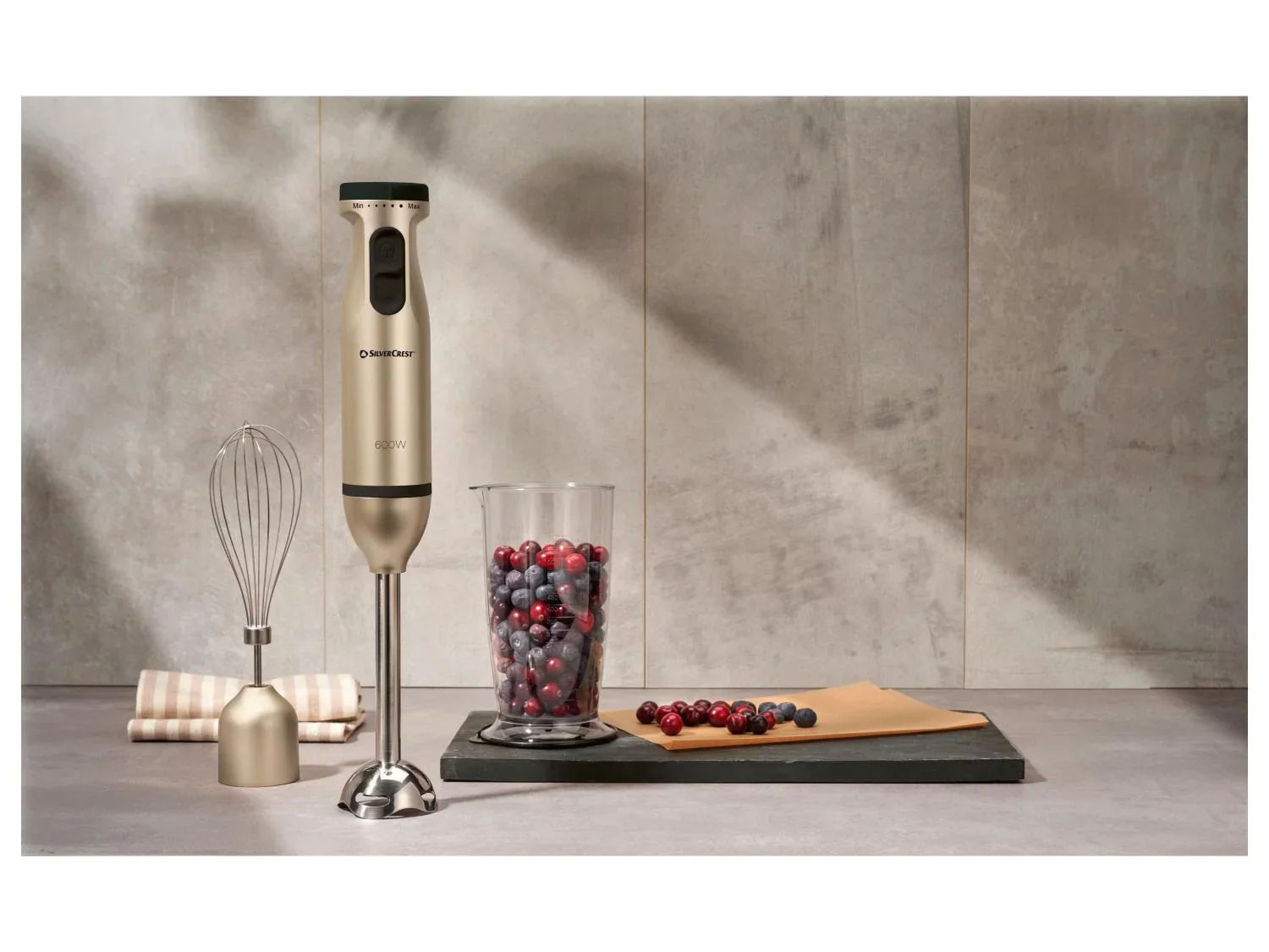 SILVERCREST Mixeur plongeant SSMS 600 E5