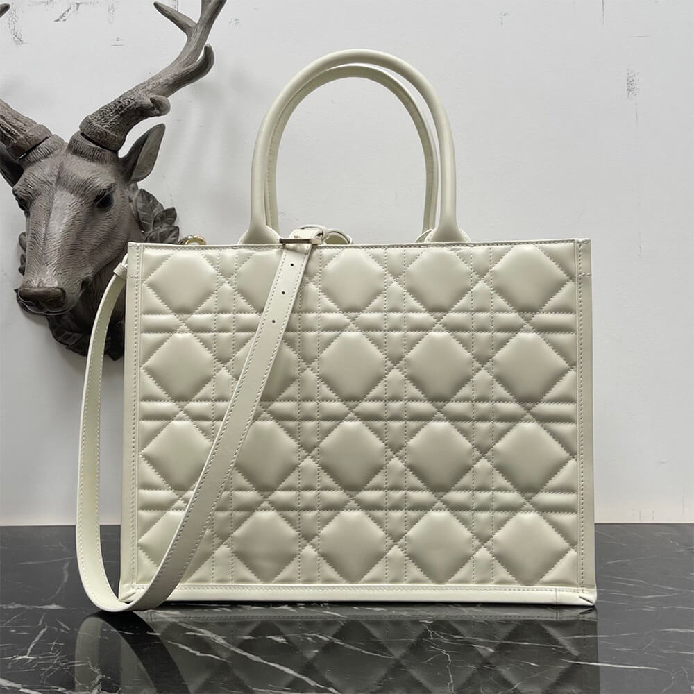 Dior Medium Dior Book Tote