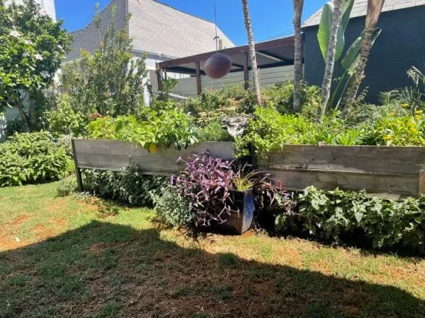 Jardinière surélevée Ankerfield à arrosage automatique et teintée écologiquement
