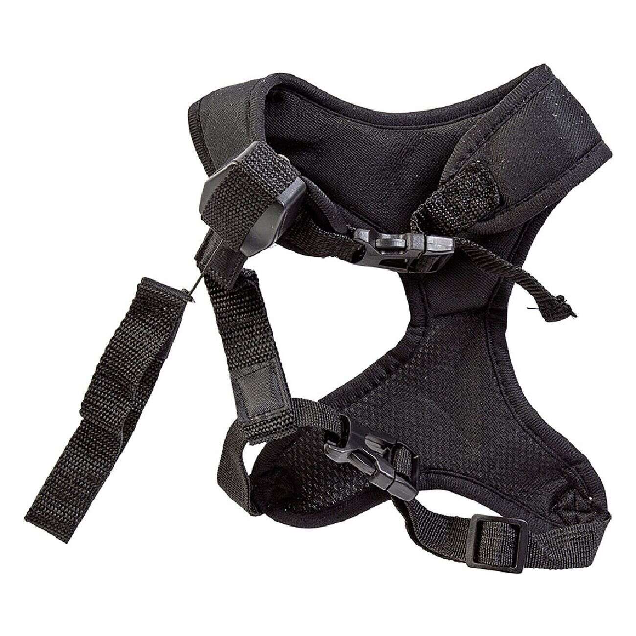 Harnais chien laisse intégrée