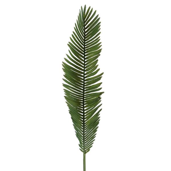 Silkeblomst cycas 55 cm