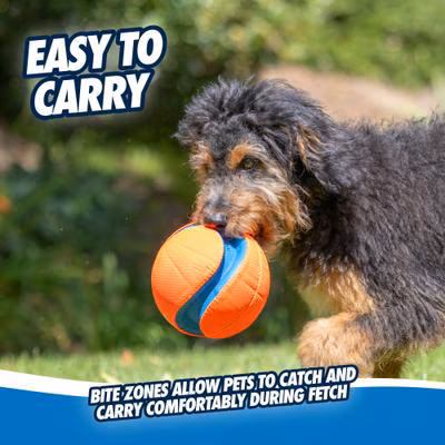 Chuckit! Kick Fetch Ball Dog Toy