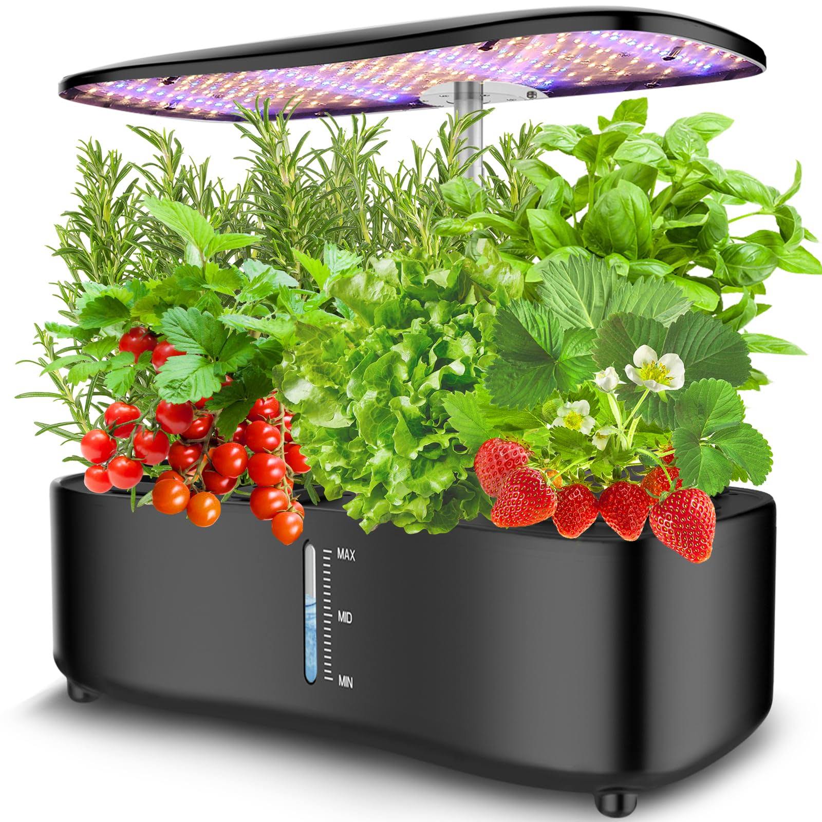 KICHGARDEN Large Tank Hydroponics Growing System 12 Pods, Herb Garden Kit Indoor with Grow Lights, Plants Germination Kit with Quiet Water Pump, Auto