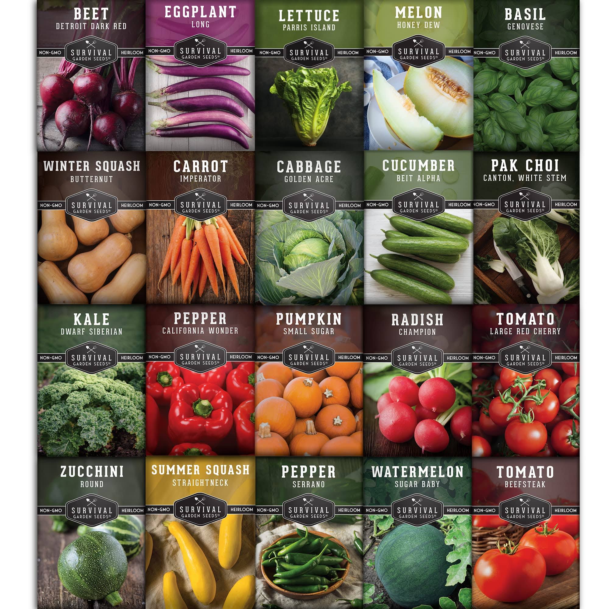Beginner Gardener Kit Seed Vault 20 Packs - Non GMO Heirloom Vegetable Varieties - Full Sun