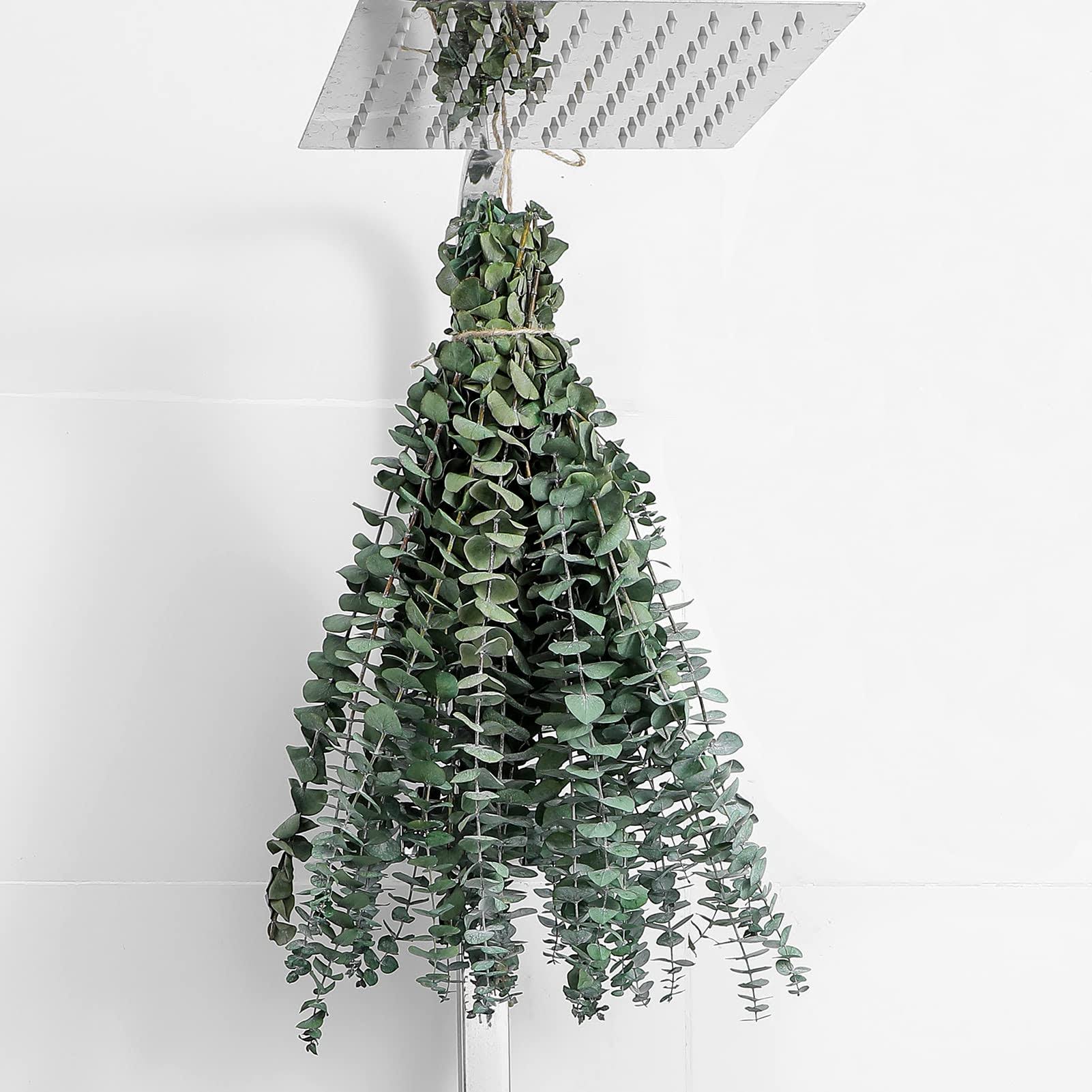 FAVOWREATH 10 Pcs Dried Eucalyptus Stems 17