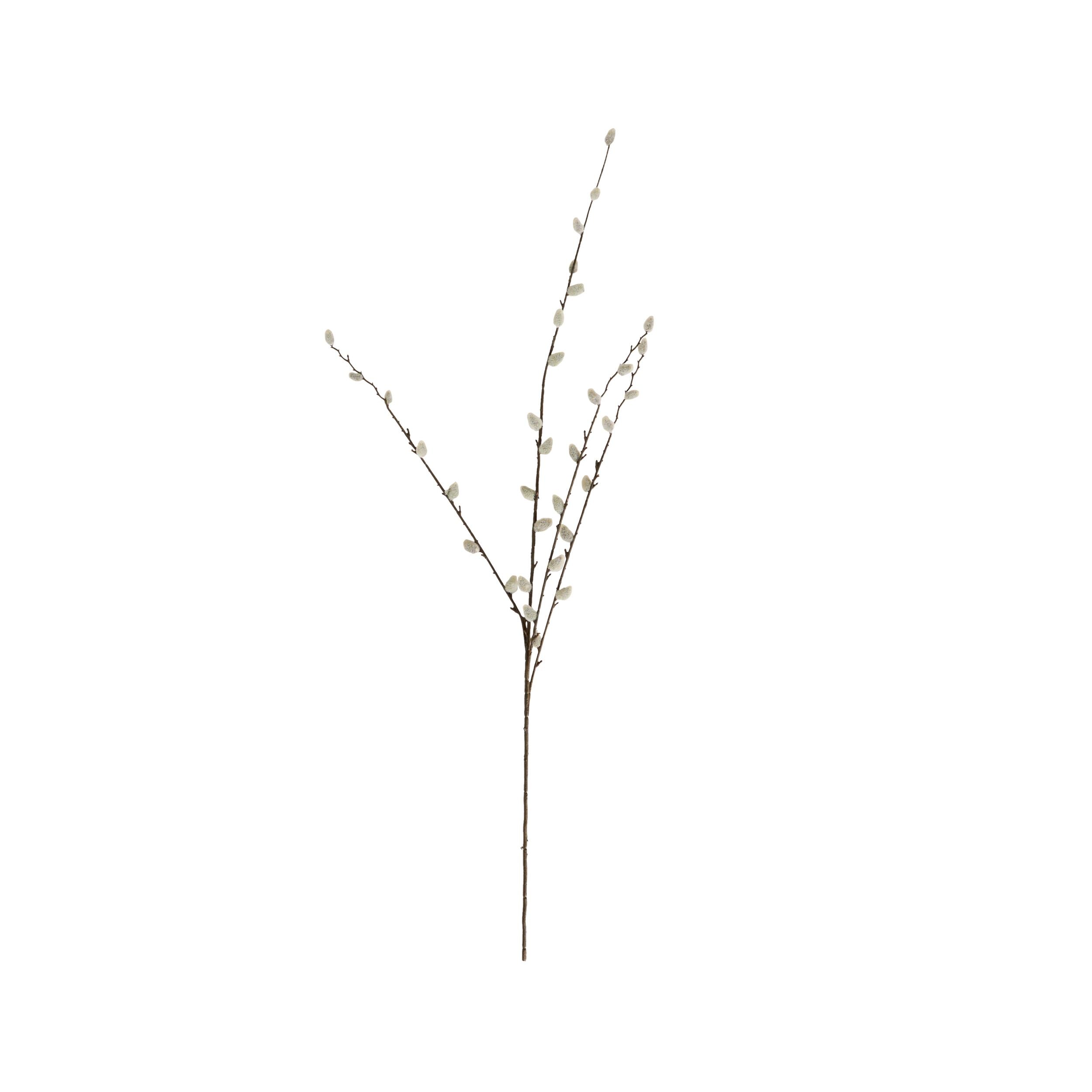 Bloomery Pussy Willow Stem 95cm