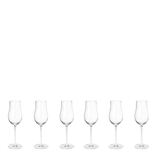 Sky champagneglass flute 25 cl 6 stk