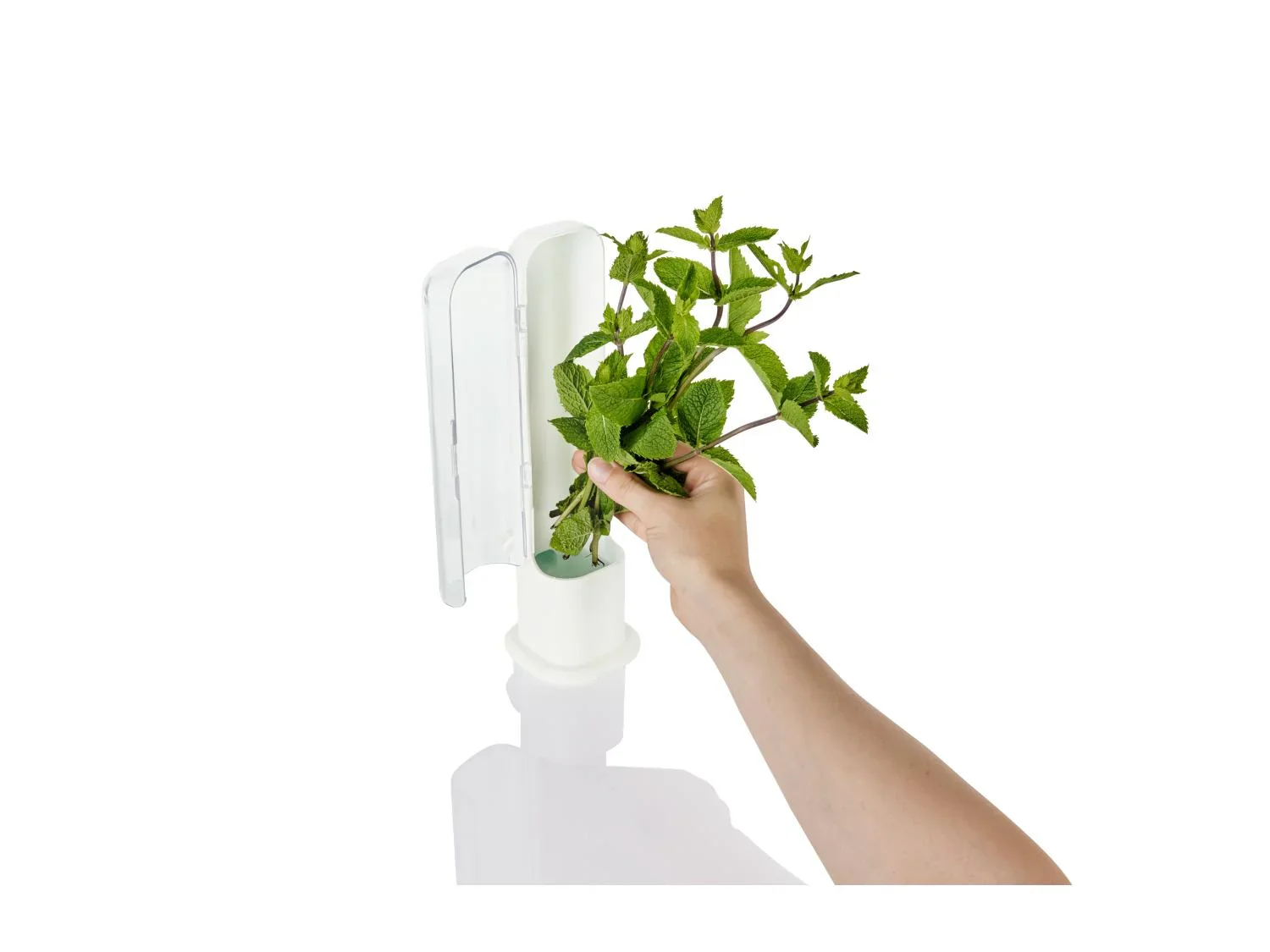 LIVARNO home Bote(s) fracheur pour herbes aromatiques