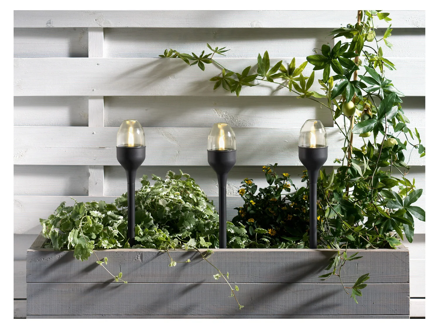 LIVARNO home Lampe solaire  LED