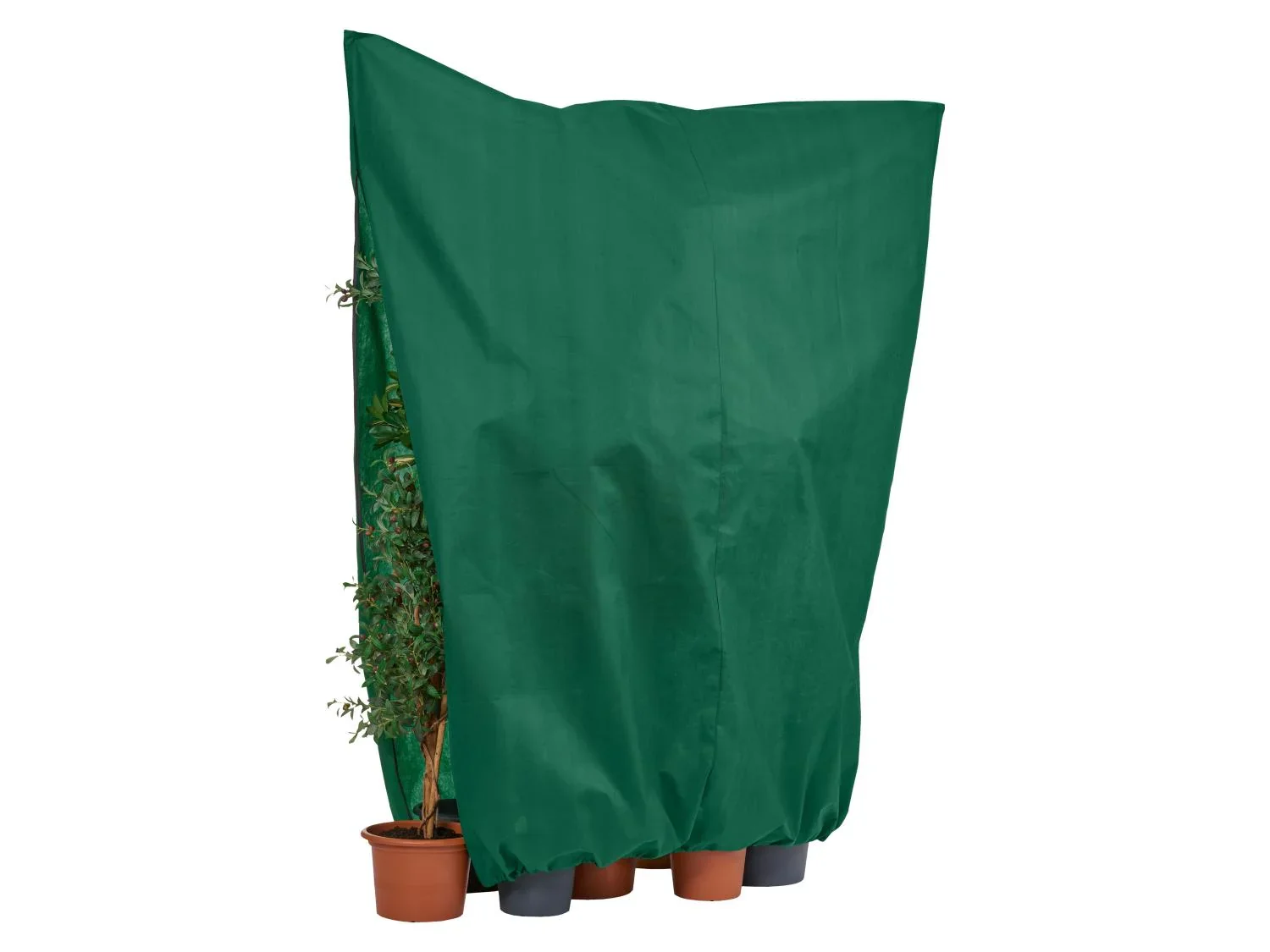 PARKSIDE Housse(s) de protection pour plantes en non-tiss