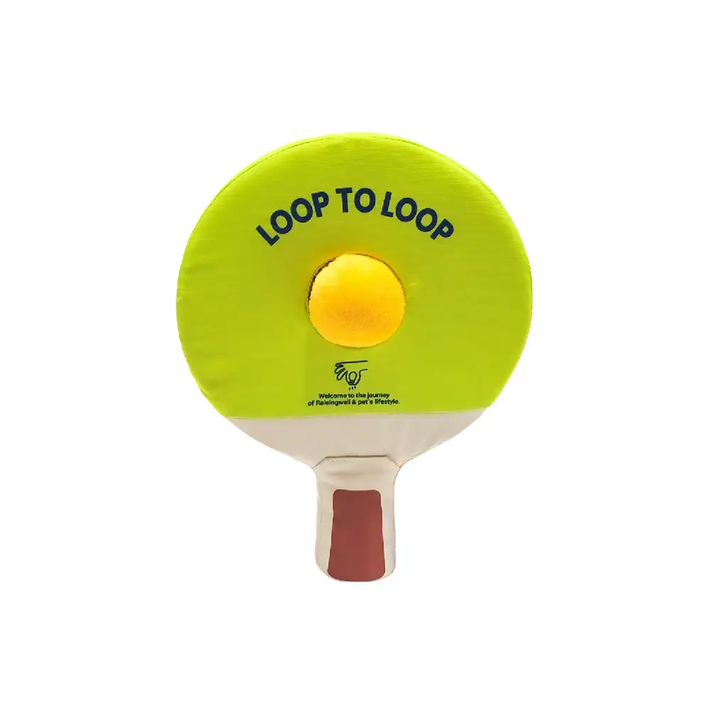 Beach Fun Series Ball Interactive Dog Toys