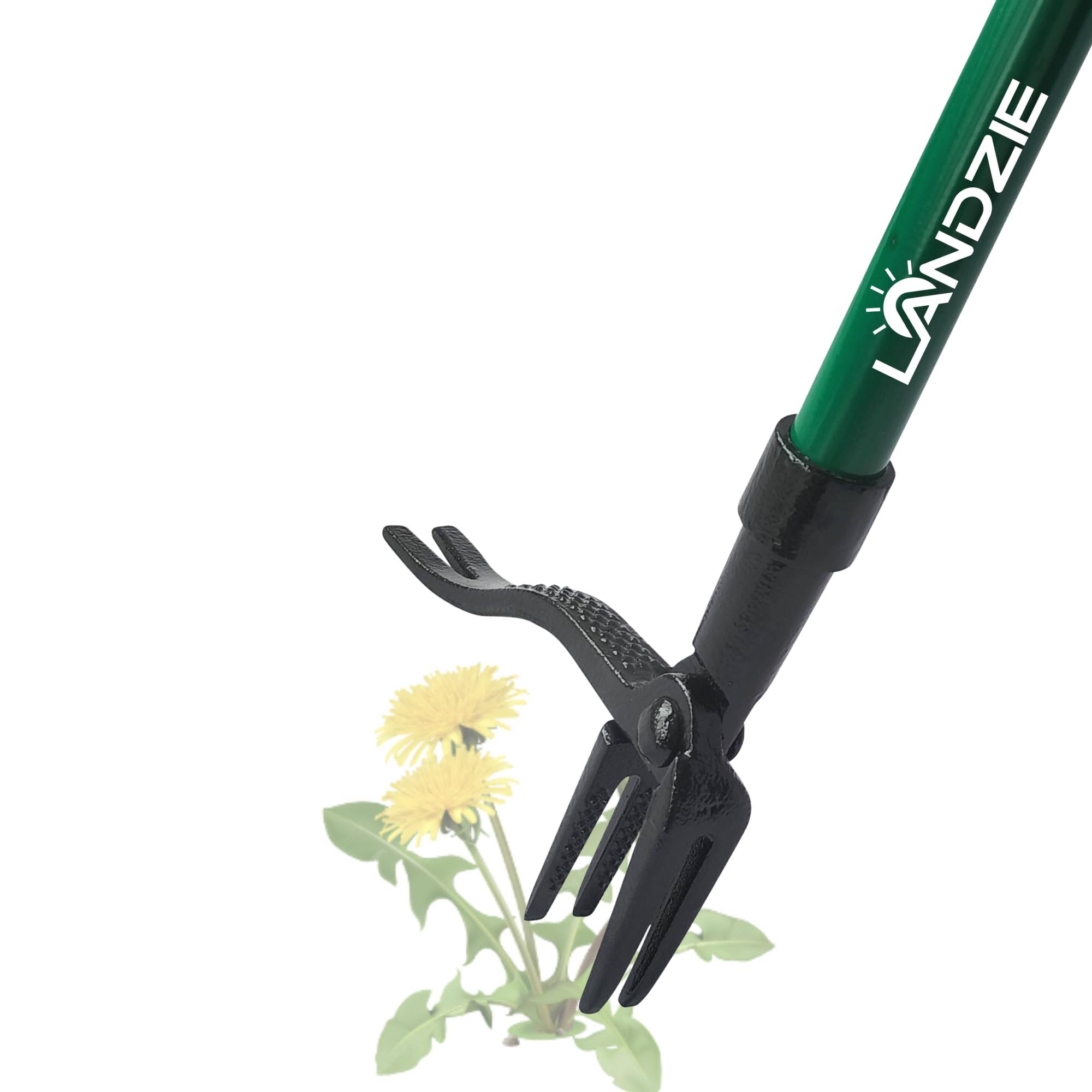 Landzie Weeder - 44 inch Long Steel Stand Up Manual Weed Remover Tool for Lawn and Garden - Easily Weed Grass Without Bending or Kneeling - 4
