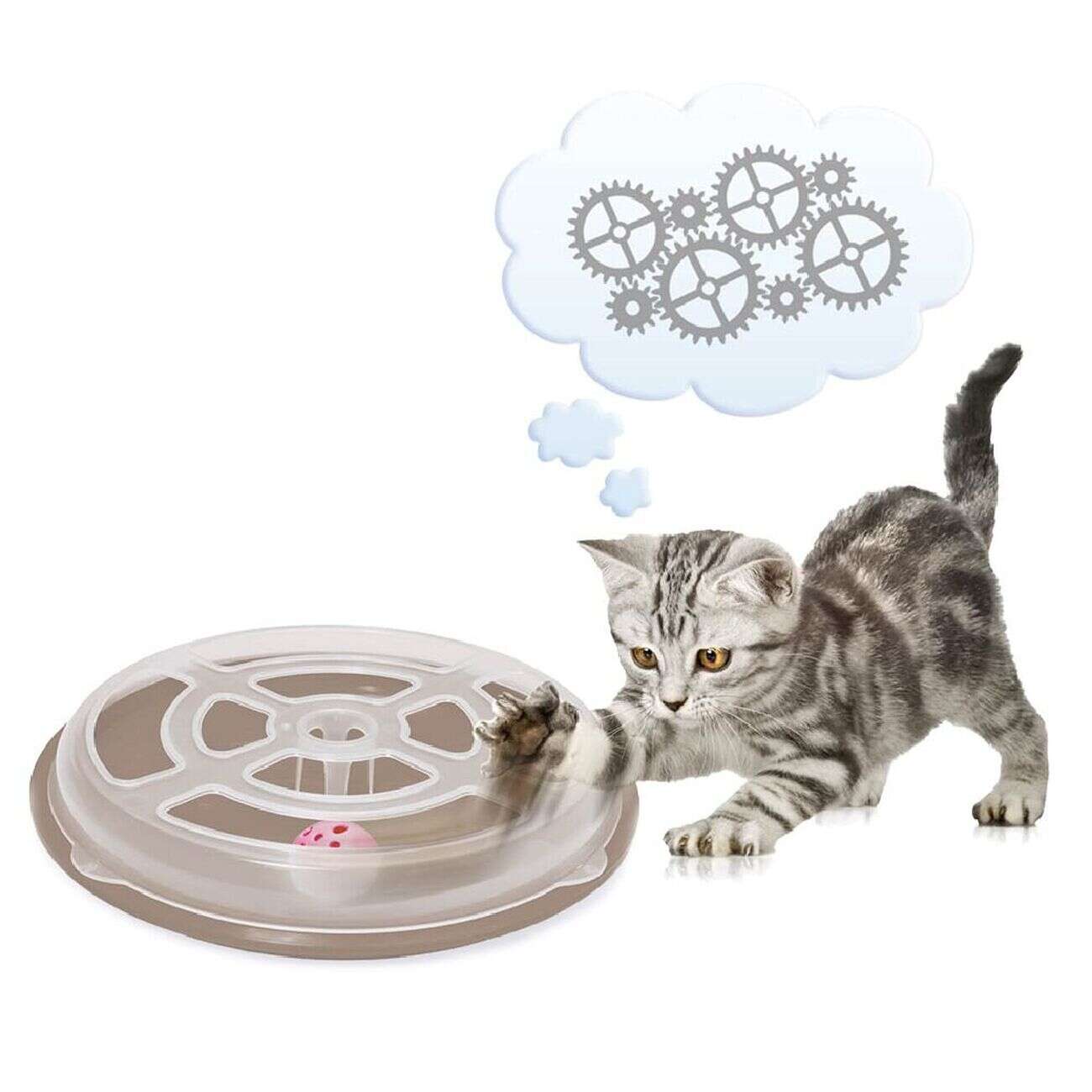 Jeu de balle pour chat