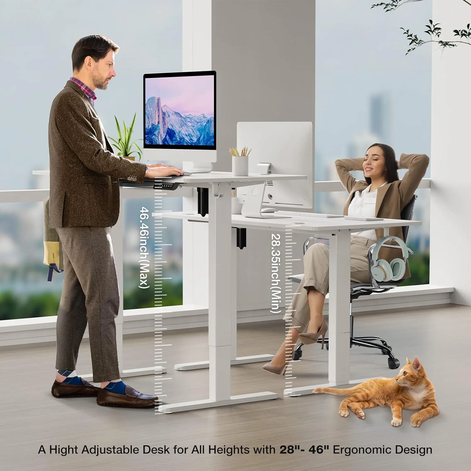 Electric Standing Desk 48 x 24 Inch Adjustable Height Electric with 3 Memory Controller