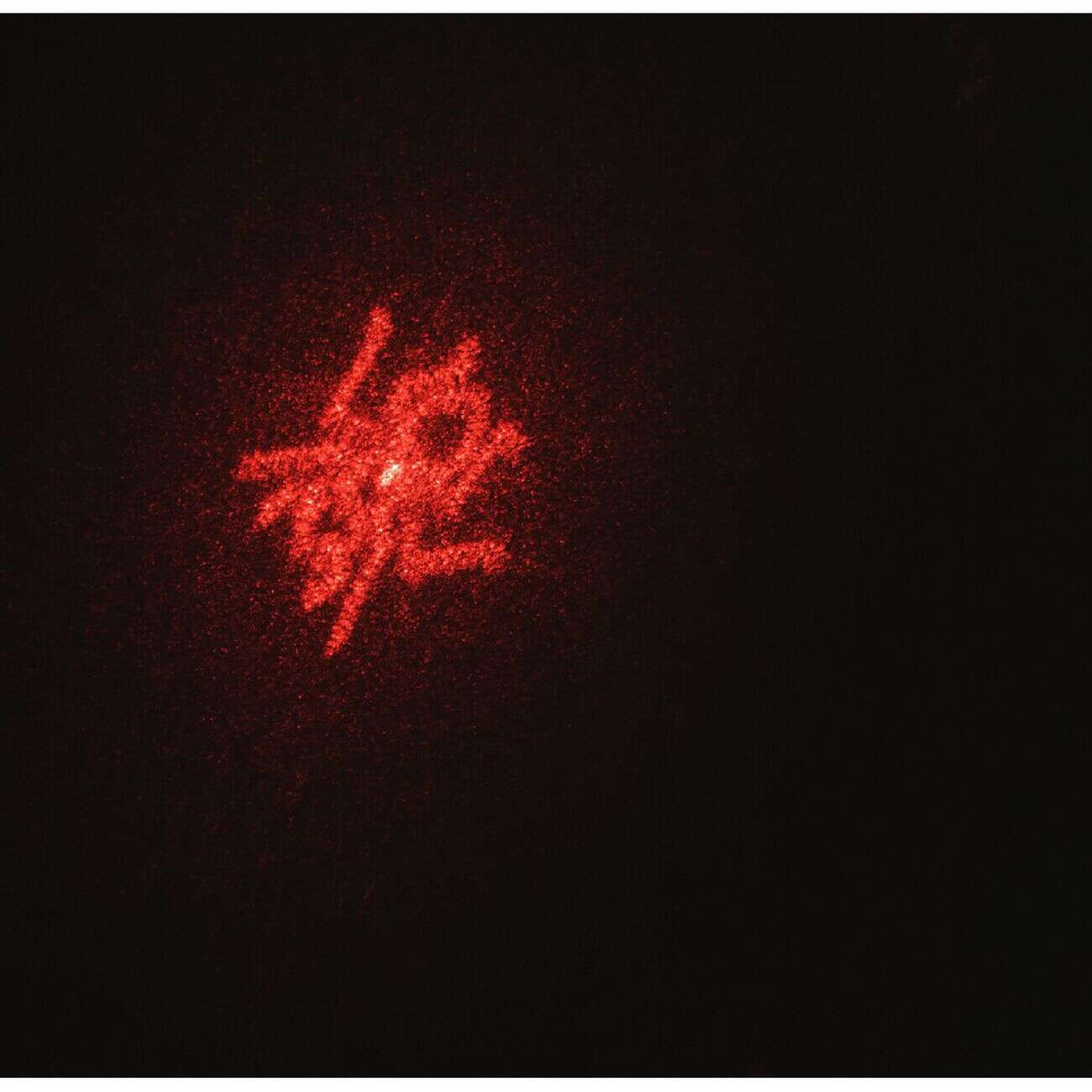 Laser pour chien ou chat avec 5 motifs différents