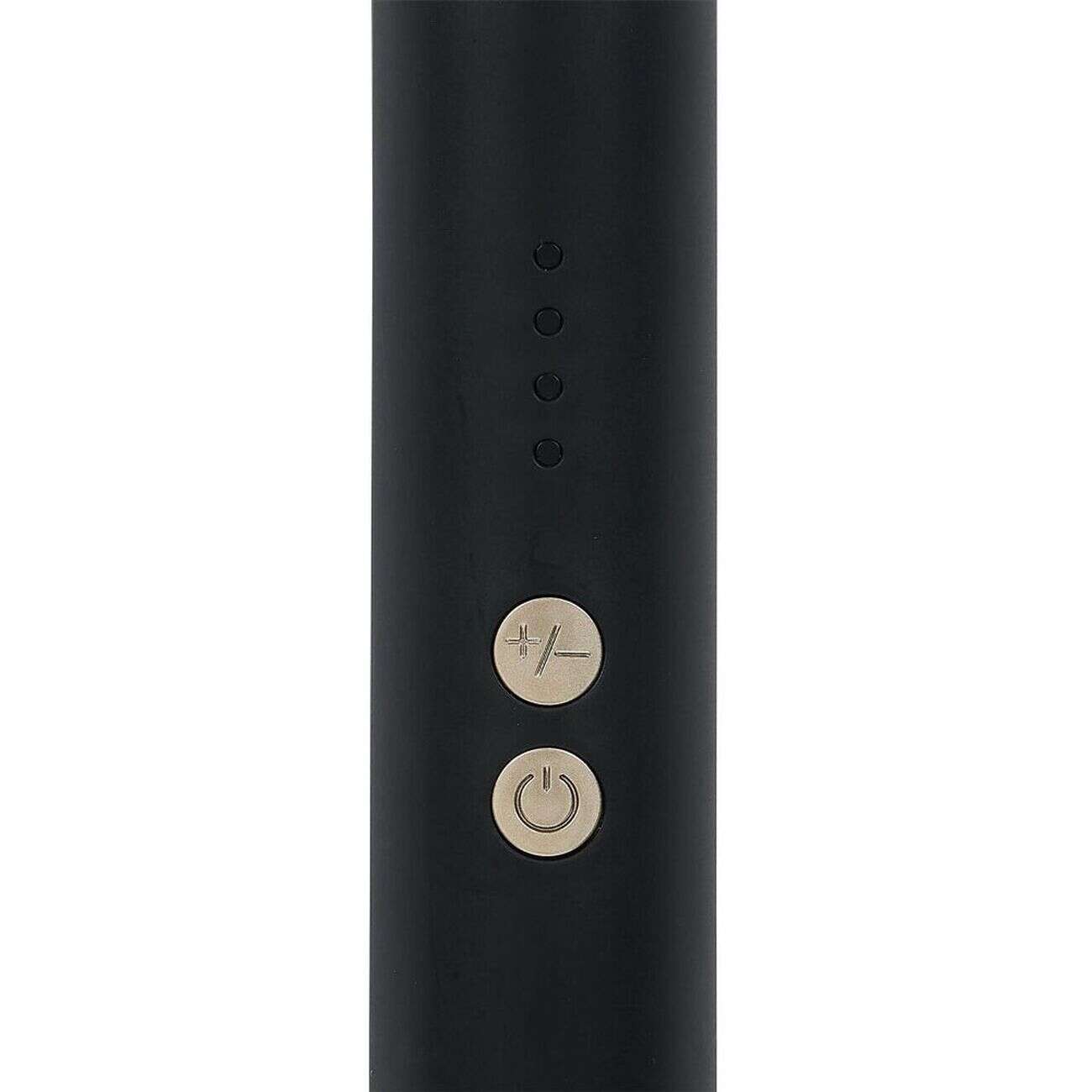 Fer à lisser noir 100/240V