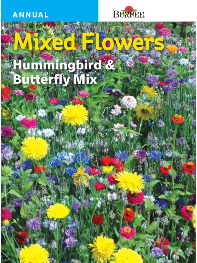 Burpee Hummingbird & Butterfly Wildflower Seeds - Each