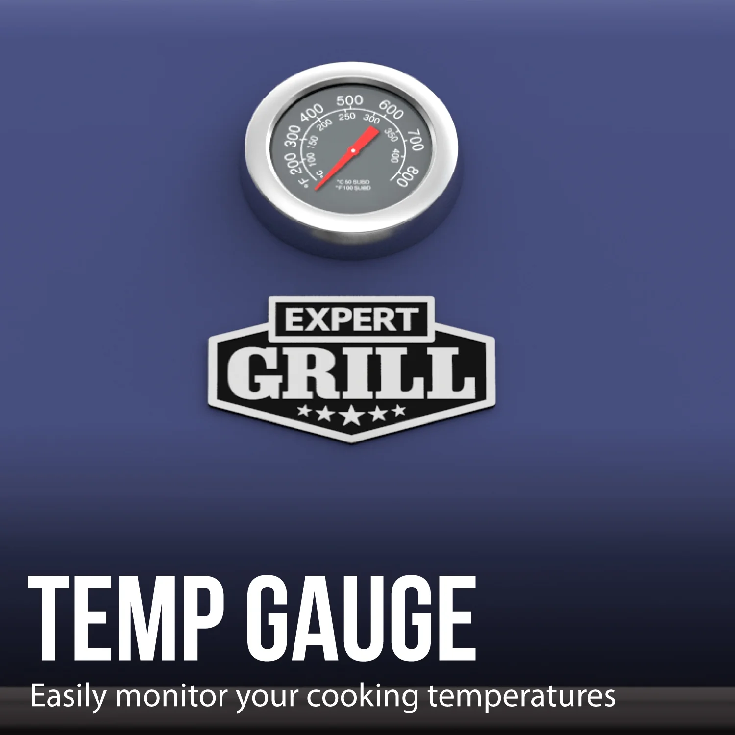 Expert Grill 5 Burner Propane Gas Grill with Side Burner