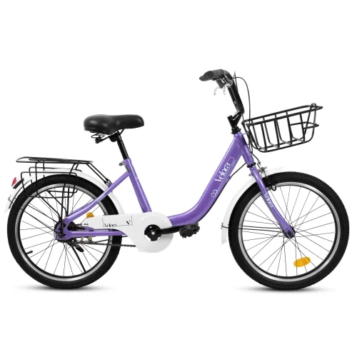 20 Inch Mountain Bicycle with Coaster Brake & V-Brake, 1-Speed, Chain Guard & Rear Rack, Lightweight Steel Frame (Pink, Green, Purple, White)
