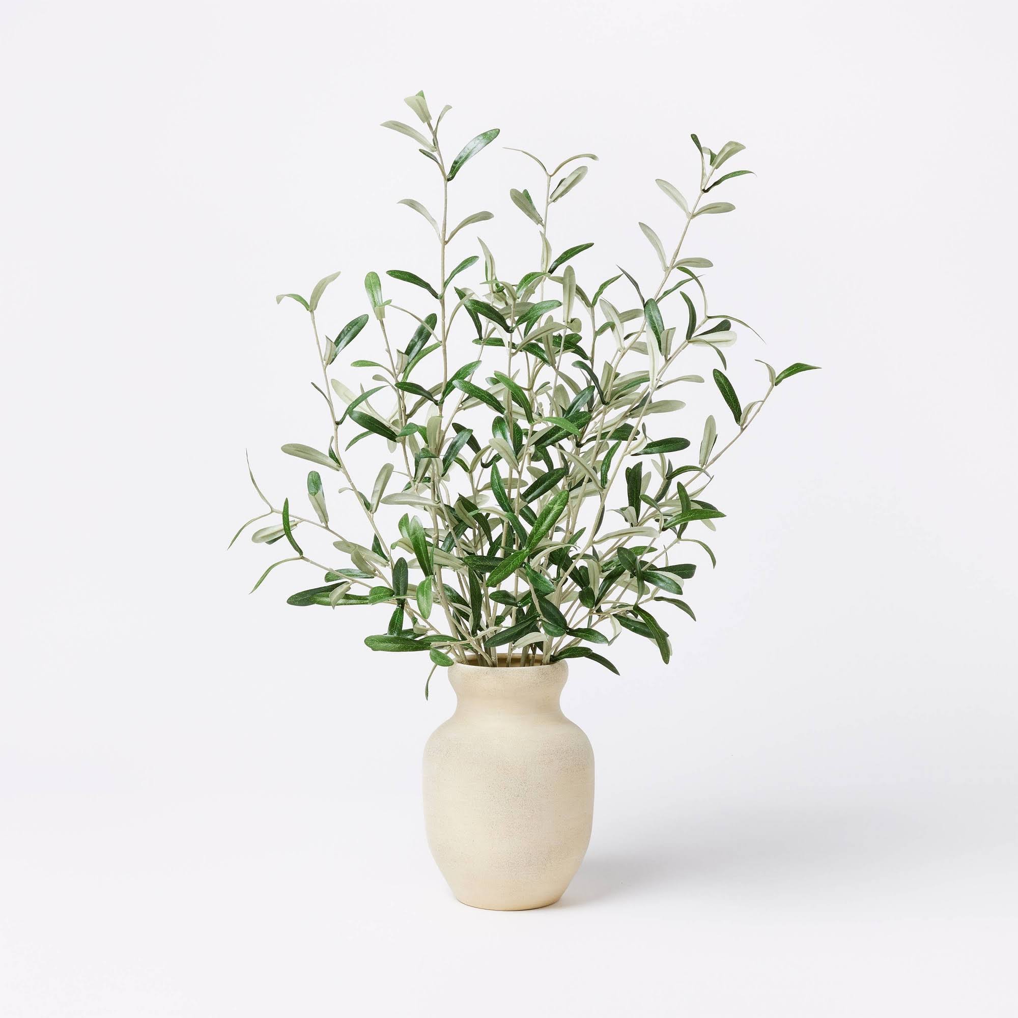 Artificial Olive Leaf Arrangement - Threshold Designed with Studio McGee