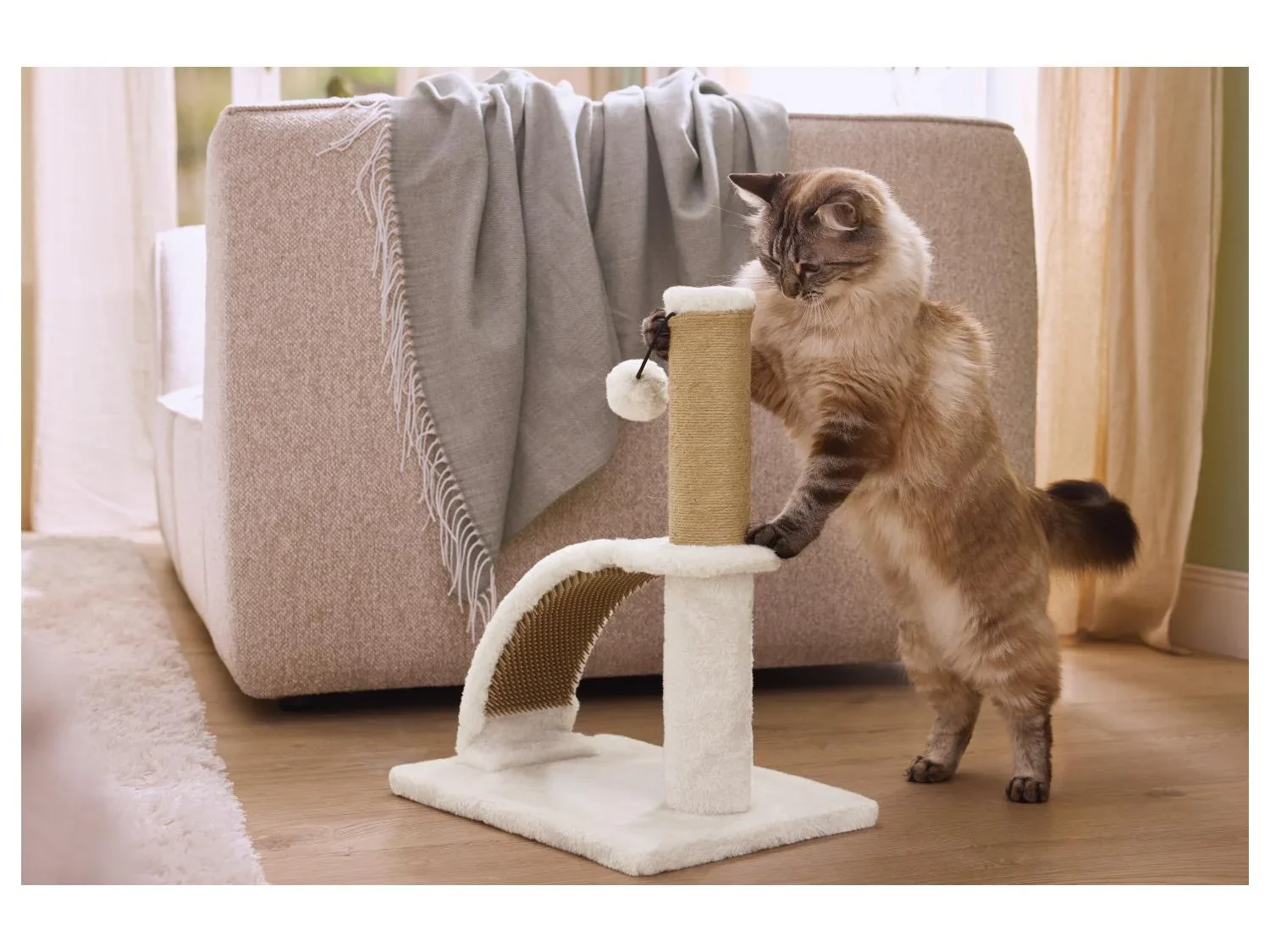 zoofari Griffoir avec planche ou brosse de massage