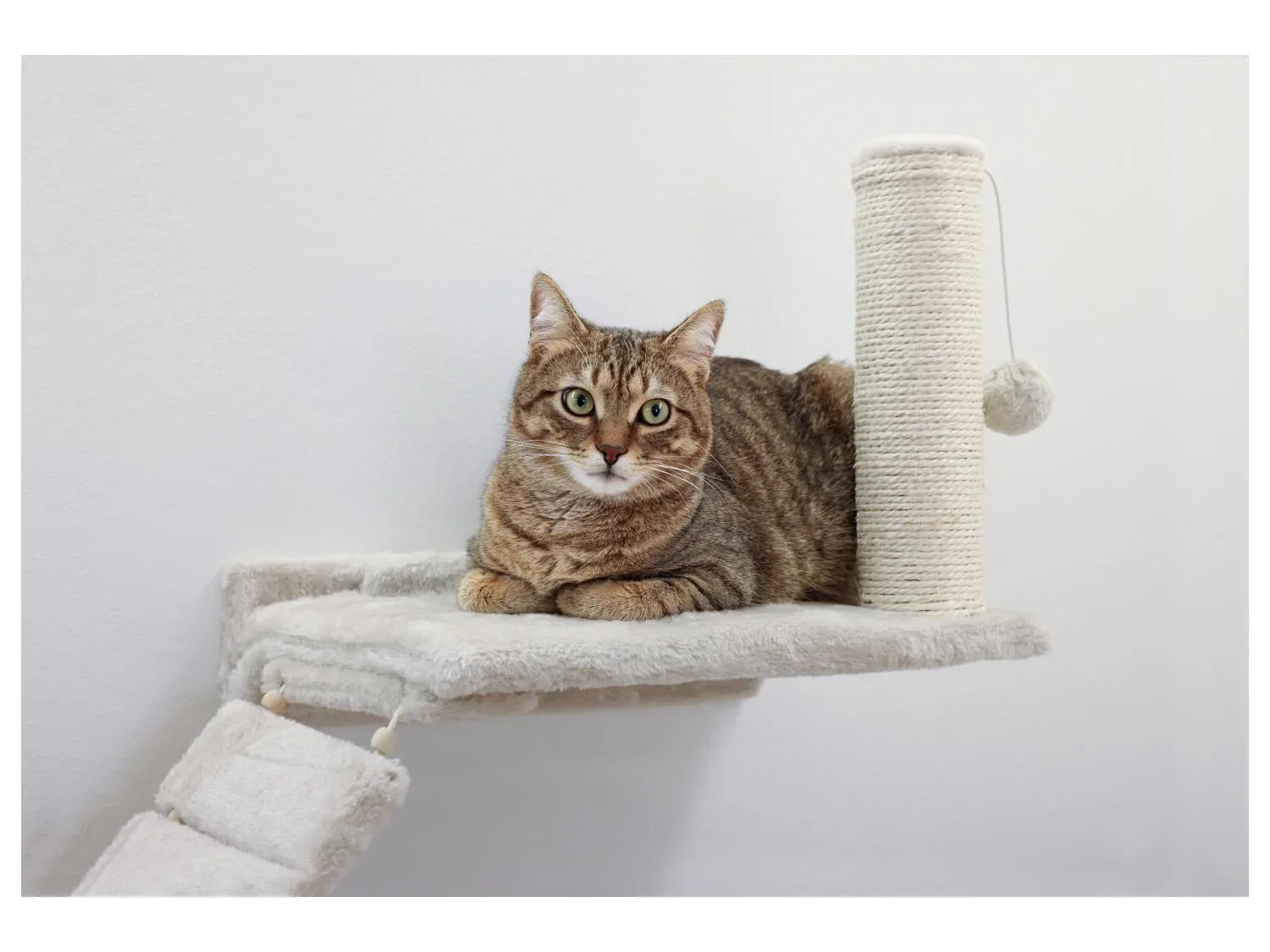 KERBL Mur d'escalade pour chat