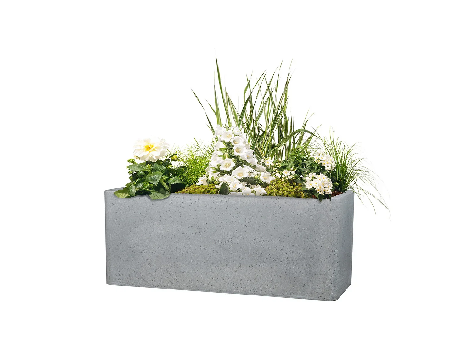 Scheurich Bac  plantes Cube Box, 21 L ou 35,5 L