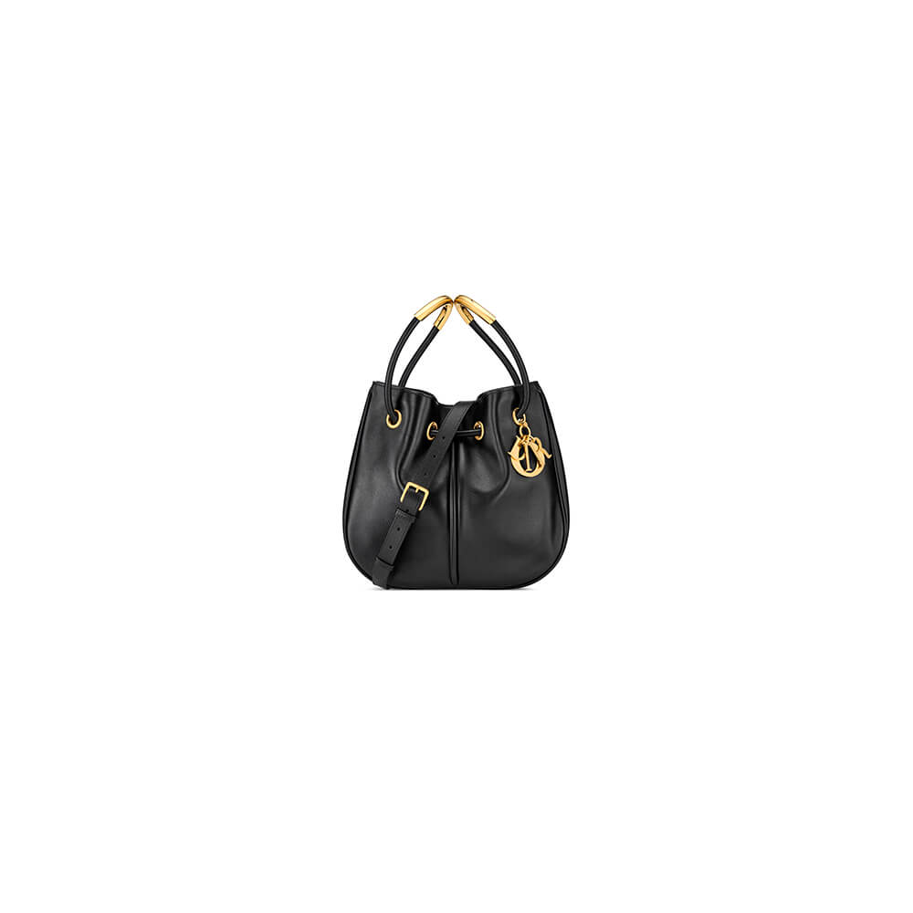 Medium Dior Nolita Bag