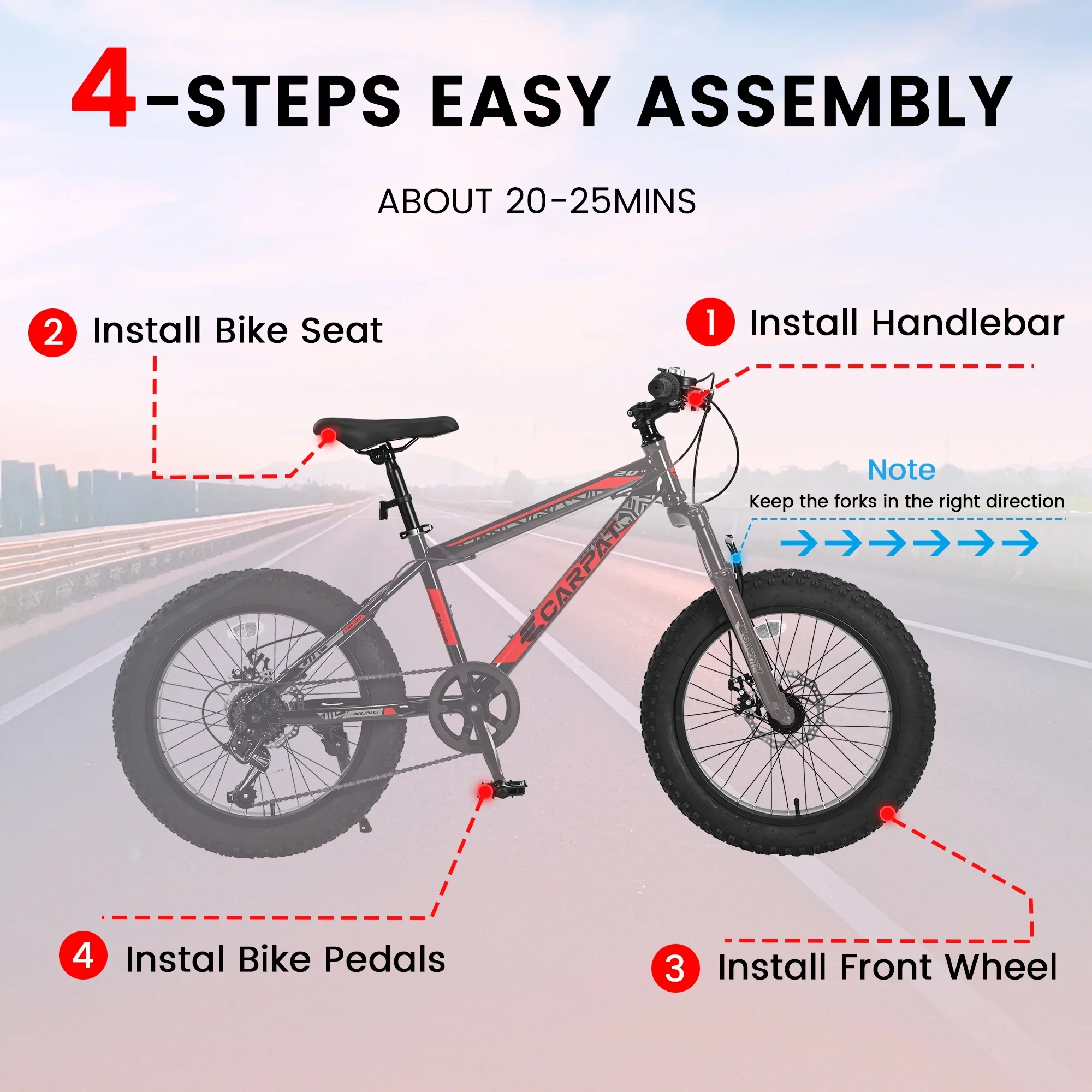 Ecarpat 20 Inch Fat Tire Kids Mountain Bike Shimano 7 Speed Dual Disc Front Suspension Bicycle for Boys Girls.