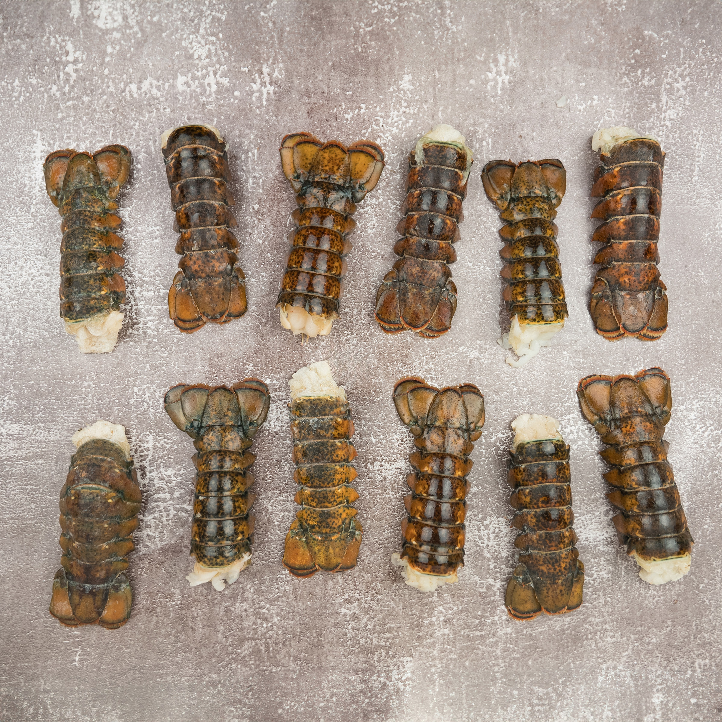 Coastal Seafood Frozen Lobster Tails 12 Count (6 - 8 oz.)