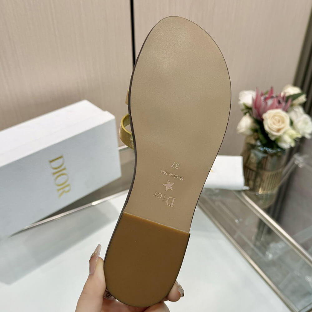 DIOR D-Club Slide