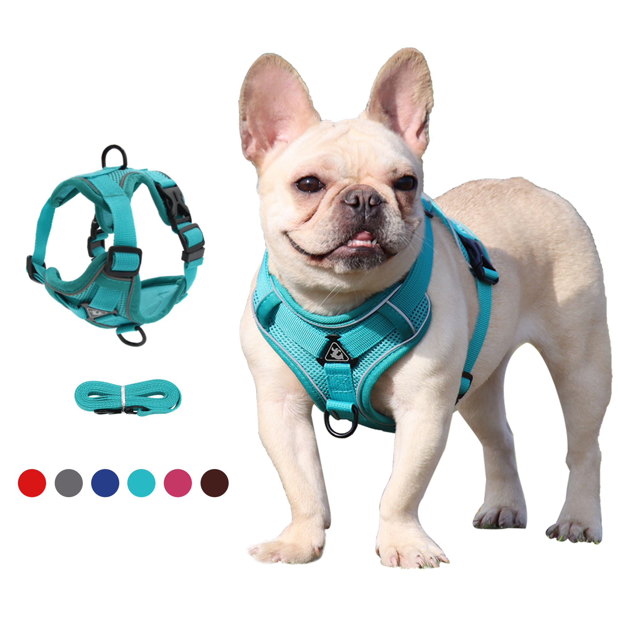 Pet Leashes
