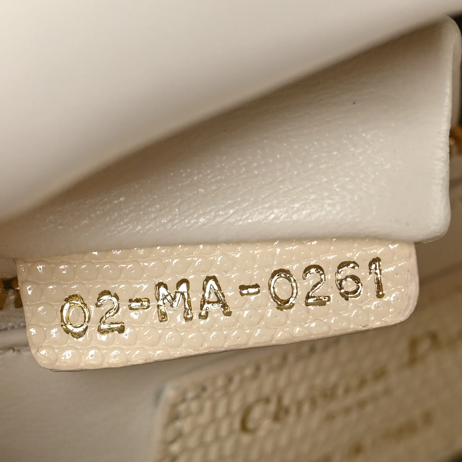 Lizard Mini Lady Dior White