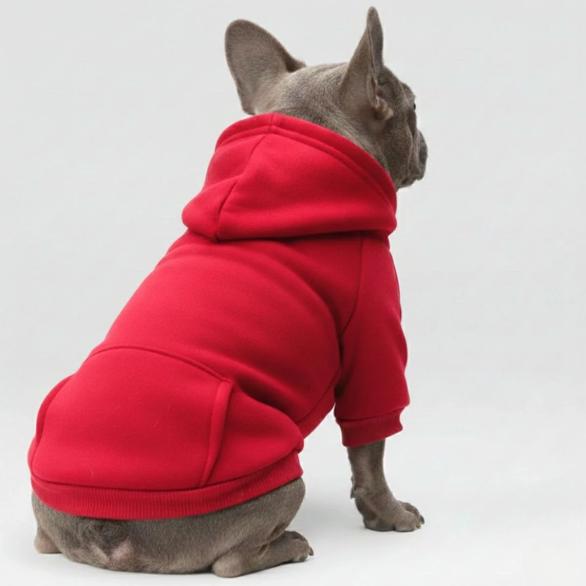 Colorful Cozy Dog Hoodies - Perfect for All-Weather Comfort