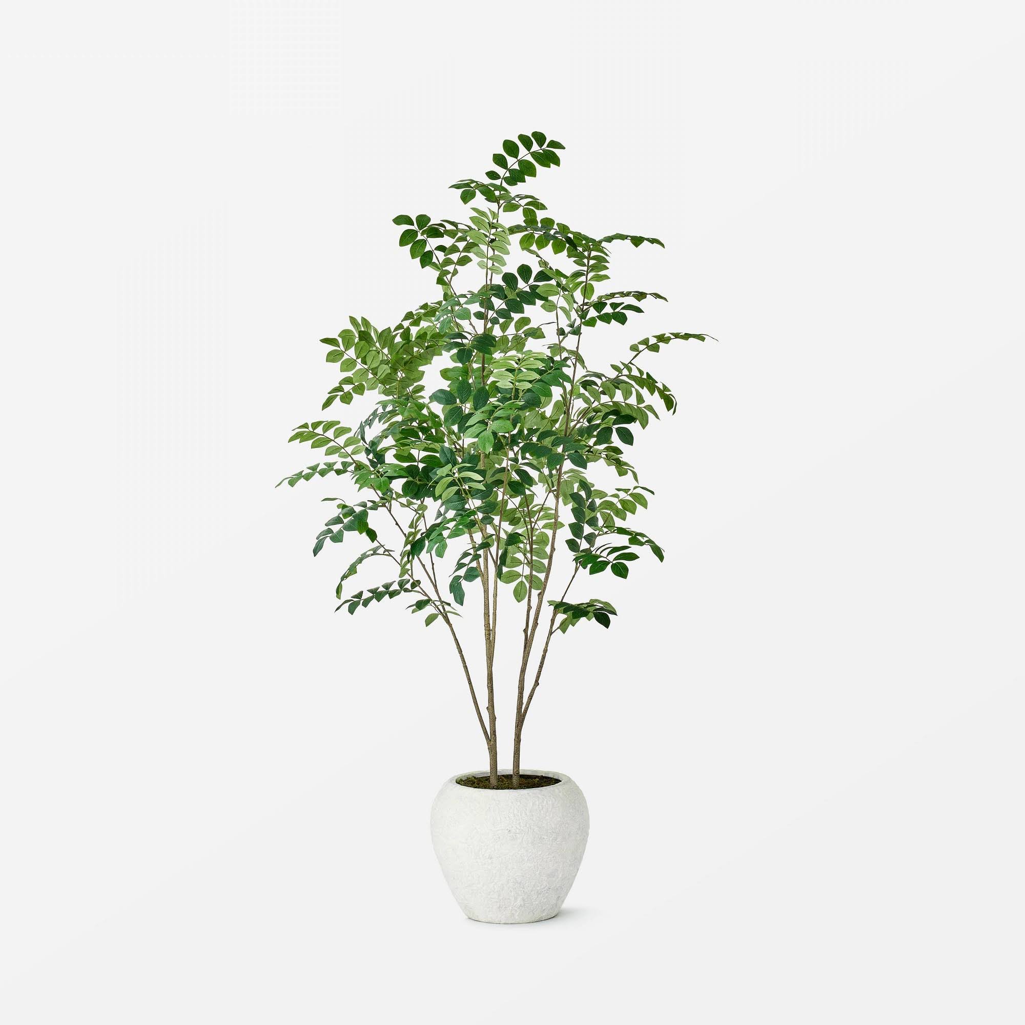 Moringa Artificial Tree Green - Threshold Designed with Studio McGee