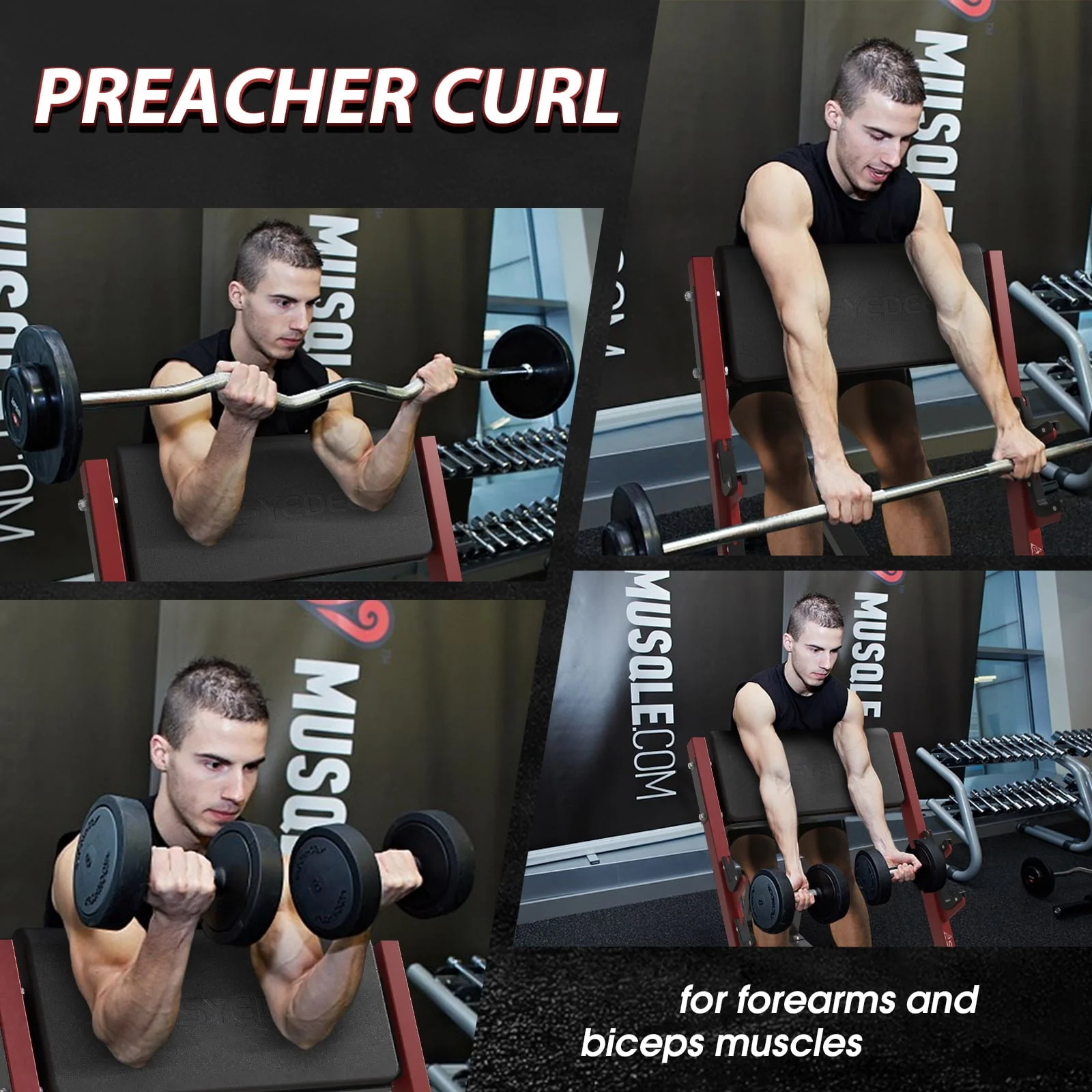 Syedee Preacher Curl Bench, Seated Arm Isolated Barbell Dumbbell Bicep Station, Bicep Curl Machine with 2 Bar Holders for Home Gym (Red)
