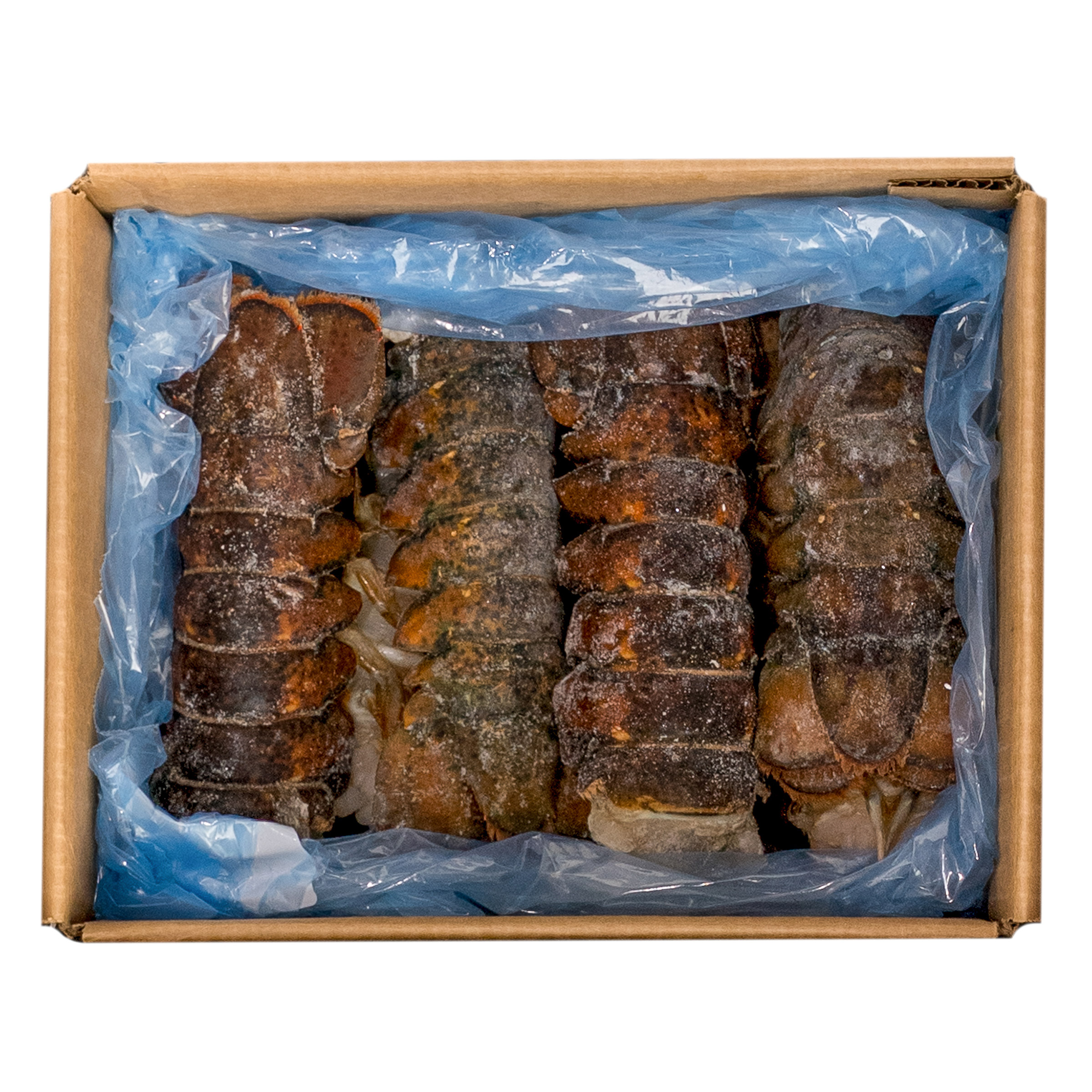 Coastal Seafood Frozen Lobster Tails 12 Count (6 - 8 oz.)