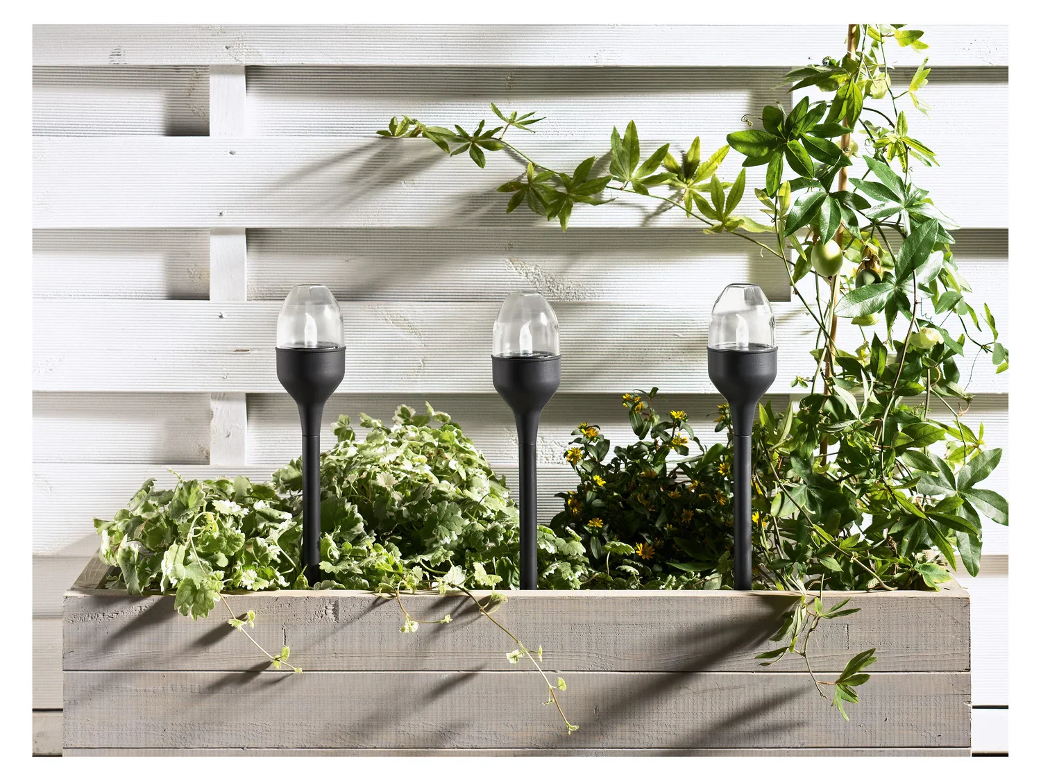 LIVARNO home Lampe solaire  LED