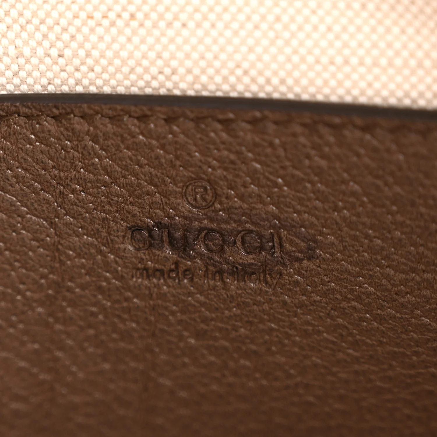 GG Supreme Monogram Web Ophidia Chain Shoulder Bag Brown
