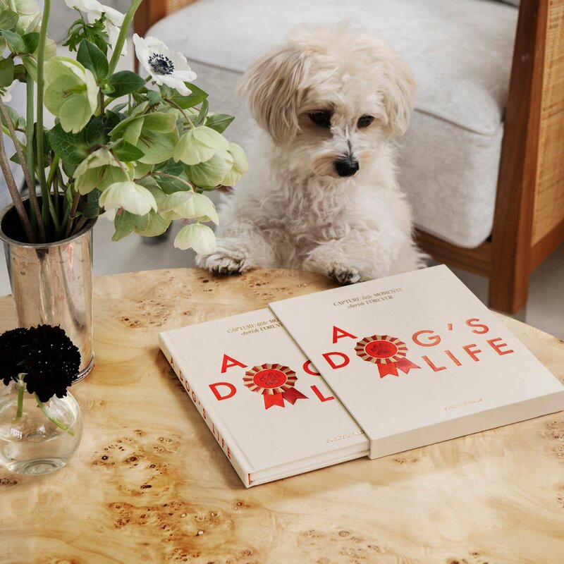 A Dog’s Life hundejournal