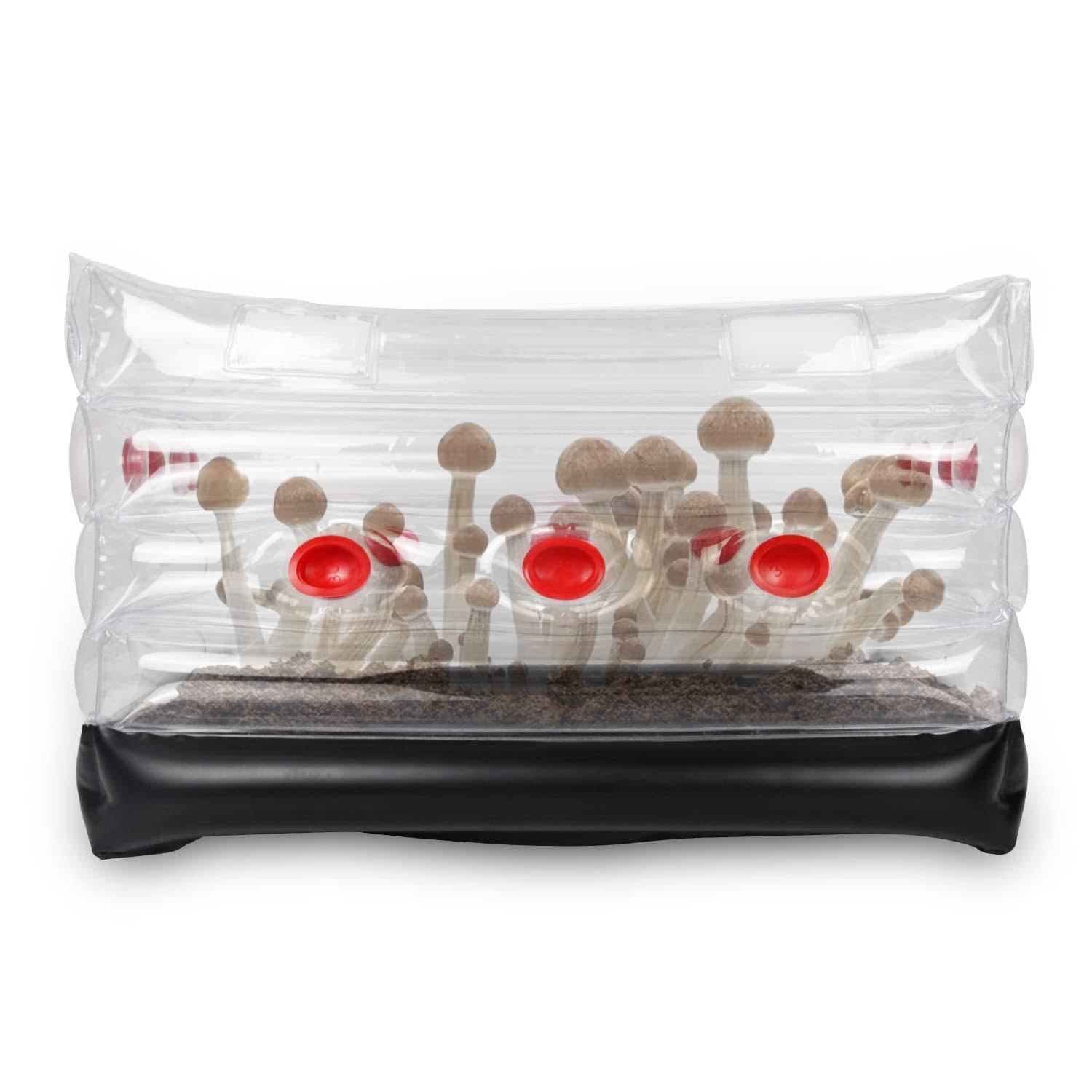 Mushroom Monotub Kit, Home Inflatable Mushroom Grow Kit - Save Your Mushroom Grow Bags