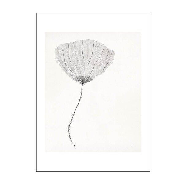 The Poster Club x Ana Frois poster 50x70 cm poppy