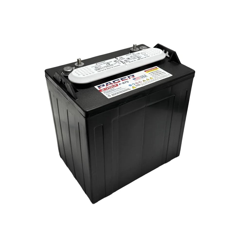 P-875 8 Volt 165Ah Deep Cycle Battery Replaces Trojan T-875 | Set of 6(6) - Image 10