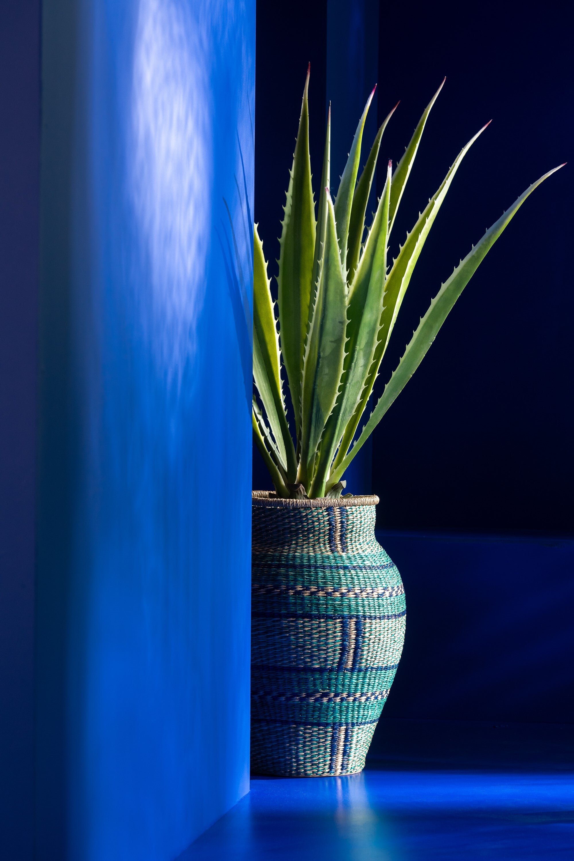 J-Line agave in pot Wit Rand - kunststof - groen