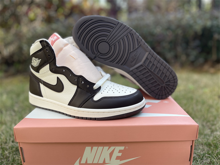 Jordan Air Jordan 1 High OGLight Madder Root