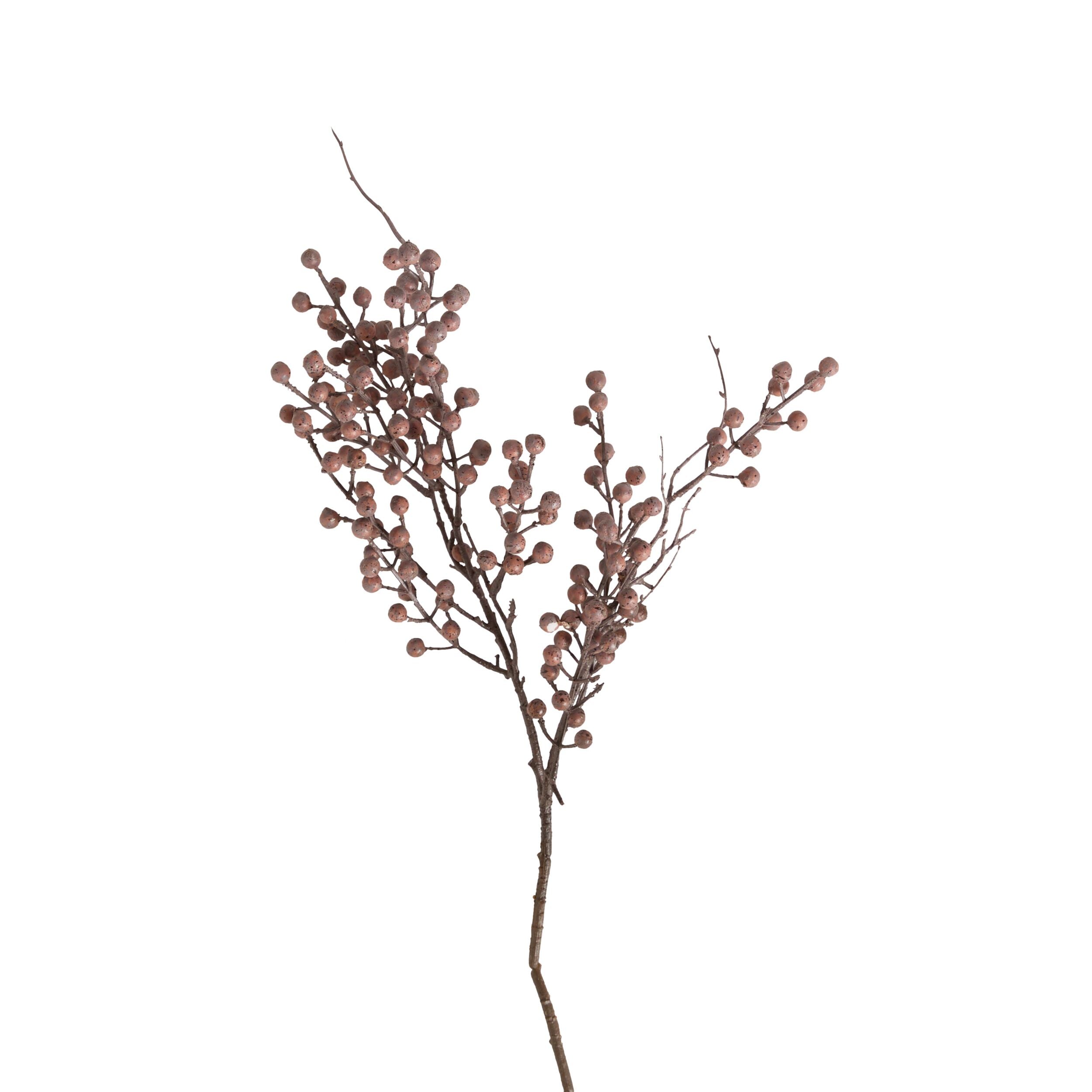 Bloomery Dried Eucalyptus Pod Stem 74cm