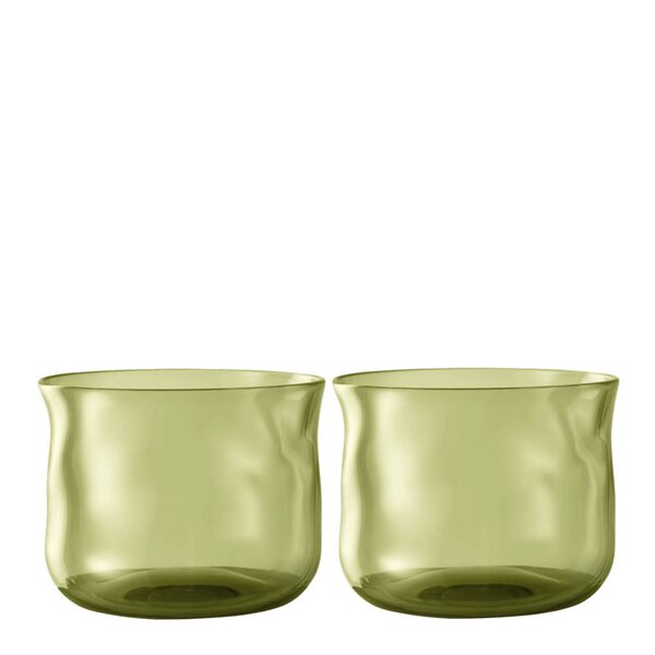 Swirl tumbler glass small 24 cl 2 stk Moss