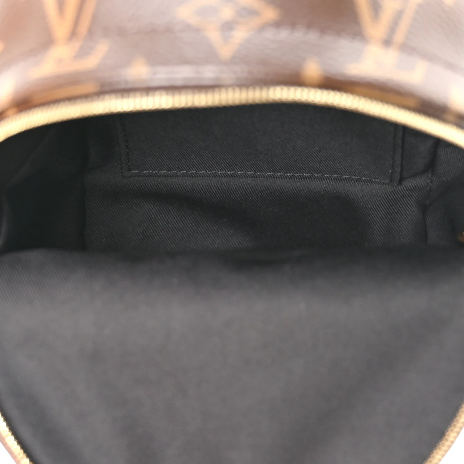 Monogram Palm Springs Backpack Mini